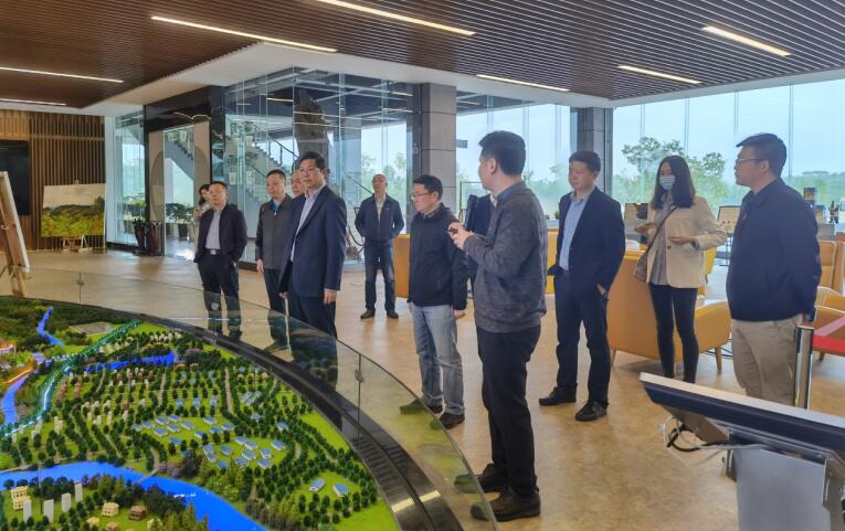 广西旅发集团党委书记、董事长容贤标考察集团文旅项目