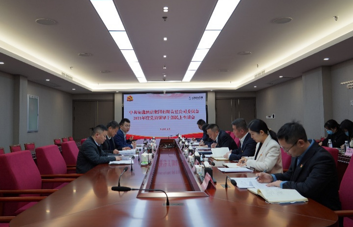 尊龙凯时集团党委书记、董事长任丁出席安逸酒店集团2022年度党员领导干部民主生活会